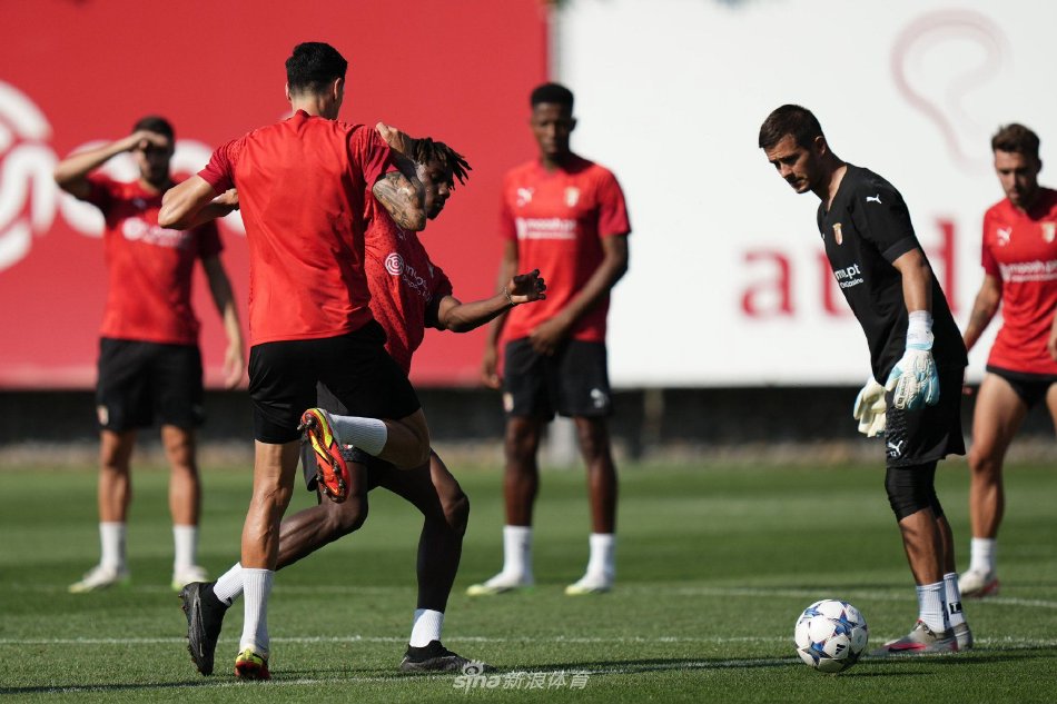 站的高点击 站的高点击