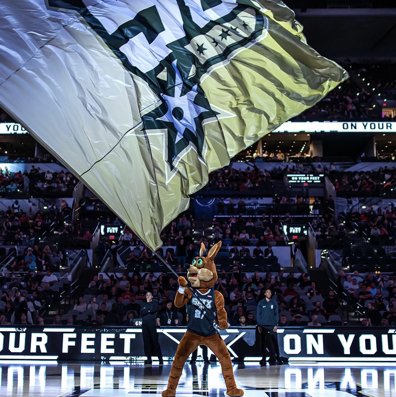 如一石激起 如一石激起